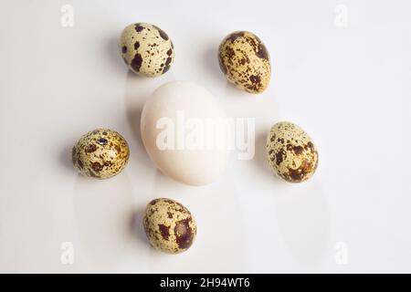 Several quail eggs and one chicken egg in the middle between them on white clipping background Stock Photo