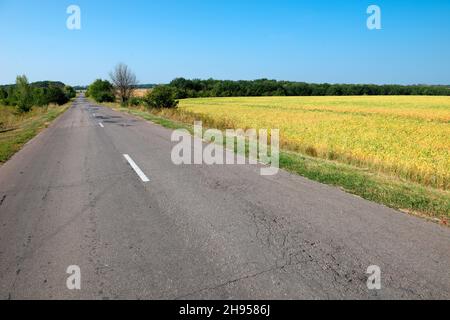 Automobile highway  passes next the field with crops on a summer sunny day Stock Photo