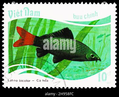 MOSCOW, RUSSIA - OCTOBER 24, 2021: Postage stamp printed in Vietnam shows Red-tailed Black Shark (Labeo bicolor), Fish - Tropical serie, circa 1988 Stock Photo