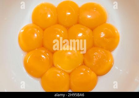 Chicken egg yolks separated from protein in a white plate Stock Photo