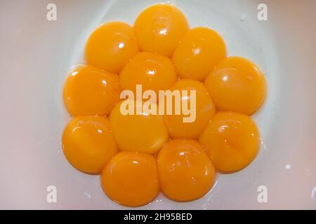 Chicken egg yolks separated from protein in a white plate Stock Photo