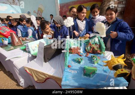 Project Models Display