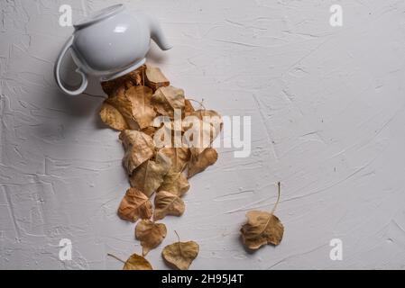 Autumn leaves spilling and flowing out of tea pot Stock Photo