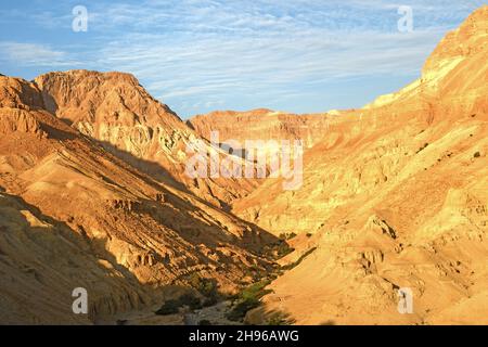 Arugot wadi, in Ein Gedi Nature Reserve, near the Dead Sea, Israel Stock Photo