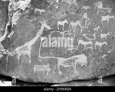Prehistoric Bushman engravings at Twyfelfontein in Namibia Stock Photo