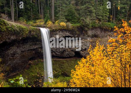 This is South Silver Falls in Silver Falls State Park, Oregon, which is near Silverton.  The autumn there can be quite spectacular, and quite rainy. Stock Photo