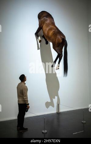 Beijing, China. 05th Dec, 2021. A horse stuck in a wall at Maurizio Cattelan The Last Judgment art exhibition in UCCA Center for Contemporary Art in Beijing, China on 05/12/2021 by Wiktor Dabkowski Credit: dpa/Alamy Live News Stock Photo