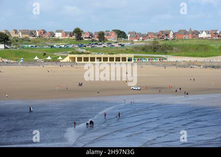 can i take my dog on barry island beach