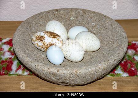 Speckled and blown out eggs as Easter decoration in a stone bowl. Stock Photo