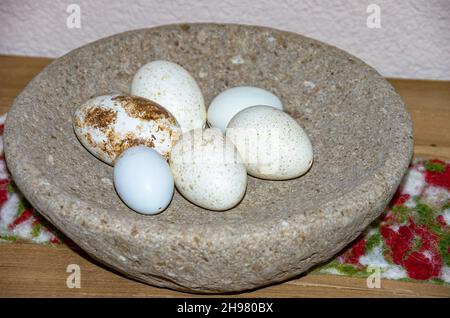 Speckled and blown out eggs as Easter decoration in a stone bowl. Stock Photo