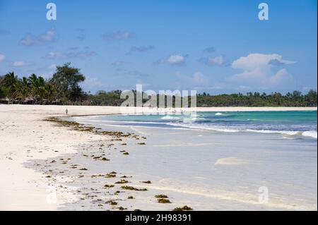 View along Diani beach at low tide with seaweed along the shore, Kenya Stock Photo