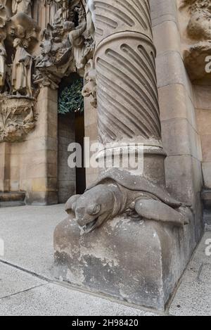 Carved turtle shell hi-res stock photography and images - Alamy