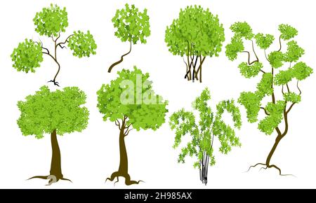 vector trees isolated on white background, vector trees set image component Stock Vector