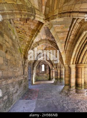 Undercroft to St Michael's tower, Wenlock Priory, Much Wenlock, Shropshire, 2019. Interior view of the undercroft to St Michael's tower in the priory ruins, looking along the south aisle from the east. Stock Photo