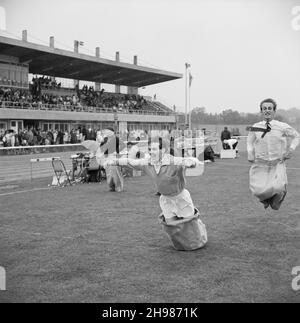 Copthall Stadium, Hendon, Barnet, London, 25/06/1966. Two men jumping towards the finishing line of the men's sack race at the annual Laing Sports Day held at Copthall Stadium. In 1966, the annual Laing employees' Sports Day was held on 25th June at Copthall Stadium in Hendon. It was the first time the event had been held there, having previously taken place the Laing Sports Ground at Elstree. A range of events included athletics and a football competition, and competitors travelled from the firm's regional offices and sites, including from Scotland and Carlisle. There was also a funfair, marc Stock Photo