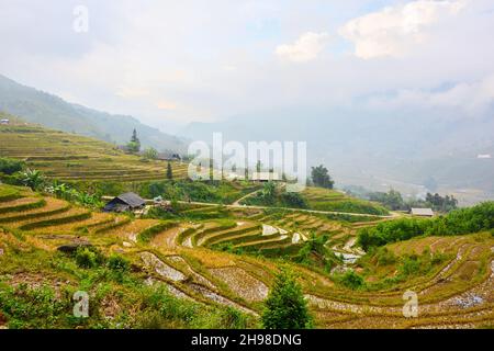 Rice terraces in Ta Van, Muong Hoa Valley, Sa Pa, Vietnam Stock Photo