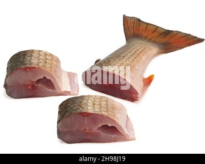 Pieces of red-finned mullet isolated on a white background Stock Photo
