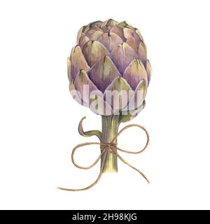 Artichoke vector hand drawing.  Stock Vector