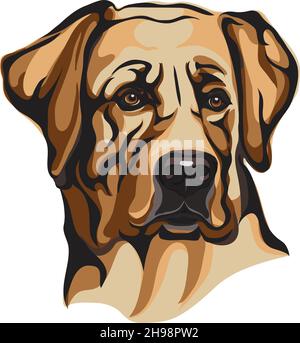 Dog, Yellow Labrador, muzzle of a dog, breed of dogs, vector image of a portrait of a dog, dog, portrait, silhouette of a dog, vector illustration Stock Vector