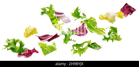 Healthy food ingredients, falling salad leaves Stock Photo