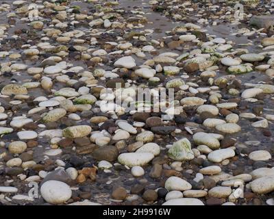 Pebbles Stock Photo