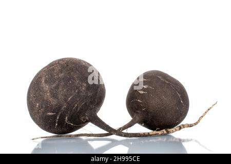 Two ripe organic black radishes, close-up, isolated on white Stock Photo