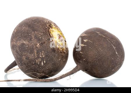 Two ripe organic black radishes, close-up, isolated on white Stock Photo