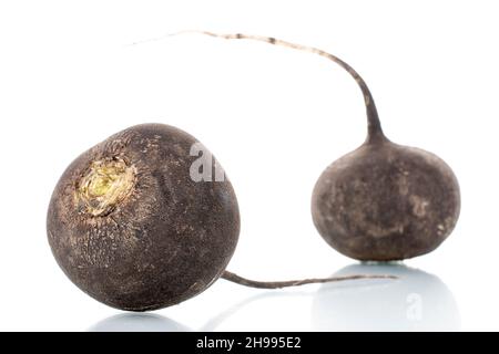 Two ripe organic black radishes, close-up, isolated on white Stock Photo