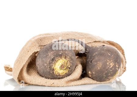 Two ripe organic black radishes with a bag of jute, close-up, isolated on white. Stock Photo