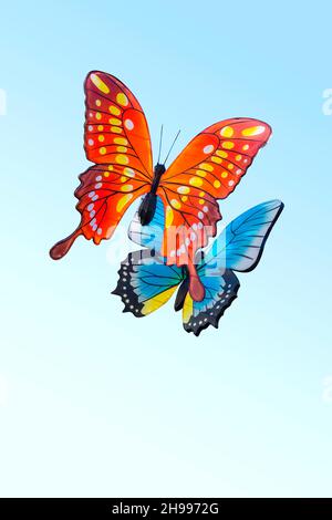 Orange butterfly and a blue butterfly. Toy butterflies, Isolated on background. Clipping path. Stock Photo