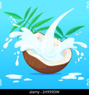 Coconut milk splash. Vector coco palm nut fruit with milky creamy splashes isolated on background for fresh tropical drink yogurt or beauty cosmetic neat design illustration. Fruit nuts coco, coconut Stock Vector