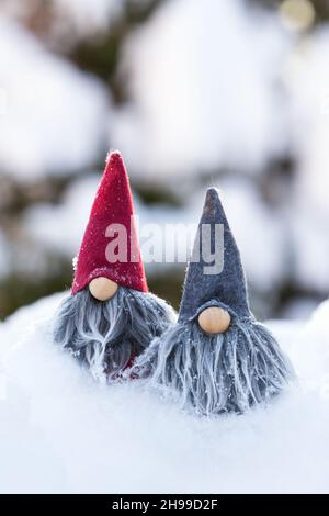 Cute two grey bearded gnomes in snow against bokeh winter forest background. Stock Photo