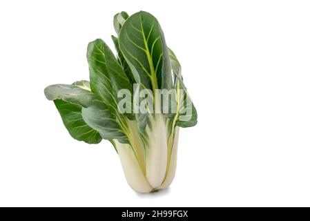 fresh swiss chard isolated  on white background Stock Photo
