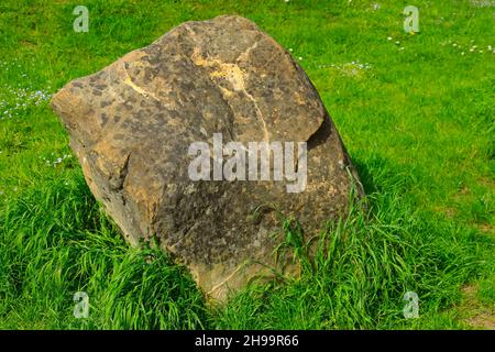 A large stone or rather a boulder lies on the lush green grass Stock Photo
