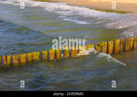 Baltic sea coast  and its wooden protection. These wooden breakwaters serve to protect the coast against the sinister effects of destructive sea waves Stock Photo