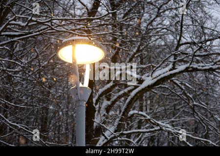 Glowing led lamp during snow on winter trees background. Electric lighting in evening park, energy-saving street lantern Stock Photo