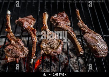 Barbeque In The Bush Stock Photo - Download Image Now - Barbecue - Meal, Barbecue  Grill, Lamb Chop - iStock