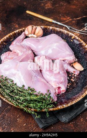 Uncooked raw rabbit or hare leg held in hand by Caucasian male. Close ...