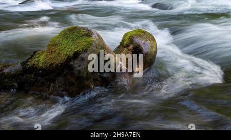 Sol Duc River, Olympic National Park, Washington State, USA Stock Photo