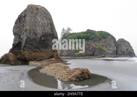 Abbey Island at Sunrise, Ruby Beach, Olympic National Park, Washington State, USA Stock Photo