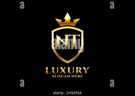 NT elegant luxury monogram logo or badge template with scrolls and royal crown - perfect for luxurious branding projects Stock Vector