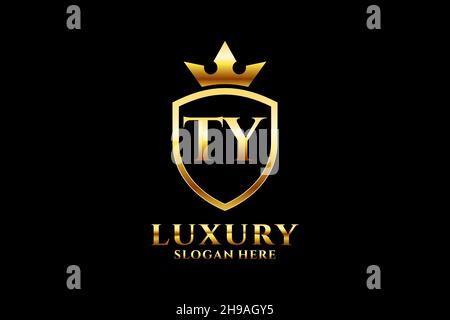 TY elegant luxury monogram logo or badge template with scrolls and royal crown - perfect for luxurious branding projects Stock Vector
