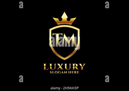 TM elegant luxury monogram logo or badge template with scrolls and royal crown - perfect for luxurious branding projects Stock Vector