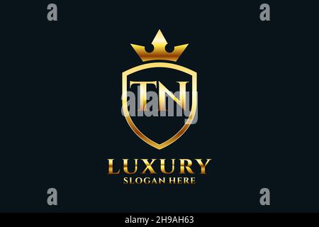 TN elegant luxury monogram logo or badge template with scrolls and royal crown - perfect for luxurious branding projects Stock Vector