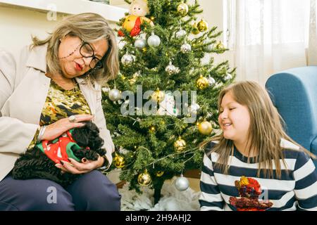 A grandmother and her granddaughter pet a puppy dog by the Christmas tree Stock Photo