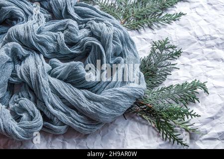 Crumpled gray background with blue gauze cloth, with spruce branches Stock Photo