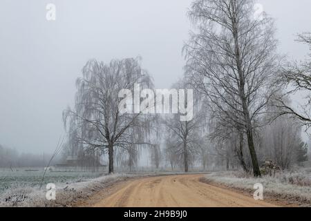 fog landscape with the first frost, beautiful white frosted tree silhouettes on the side of the dirt road, approaching winter Stock Photo