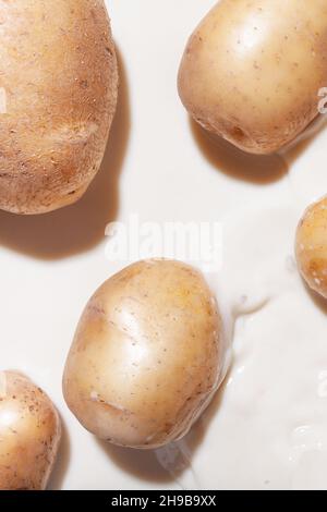 Potato tubers in milk. The concept of an alternative plant-based milk from potatoes. Stock Photo