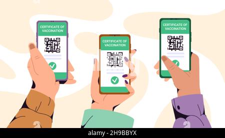 Flat hands holding phones and showing green certificate of vaccination. Smartphone with vaccine QR code in mobile app. Vaccinated people using digital health passport for travel. Immunity concept. Stock Vector