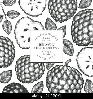 Hand drawn sketch style cherimoya banner. Organic fresh fruit vector illustration. Engraved style botanical design template. Stock Vector